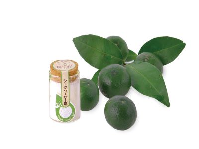 【선물】모토부 소고기 특제 Classita 슬라이스 (500g)